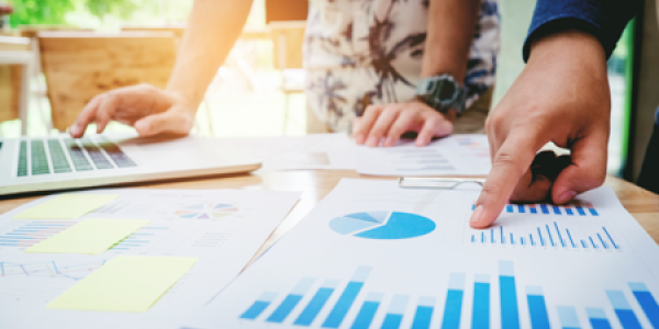 Monthly Economic Insight - October 2024